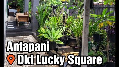 Rumah Area Premium Kiaracondong, Bandung - Harga Terbaik 6,5 Miliar